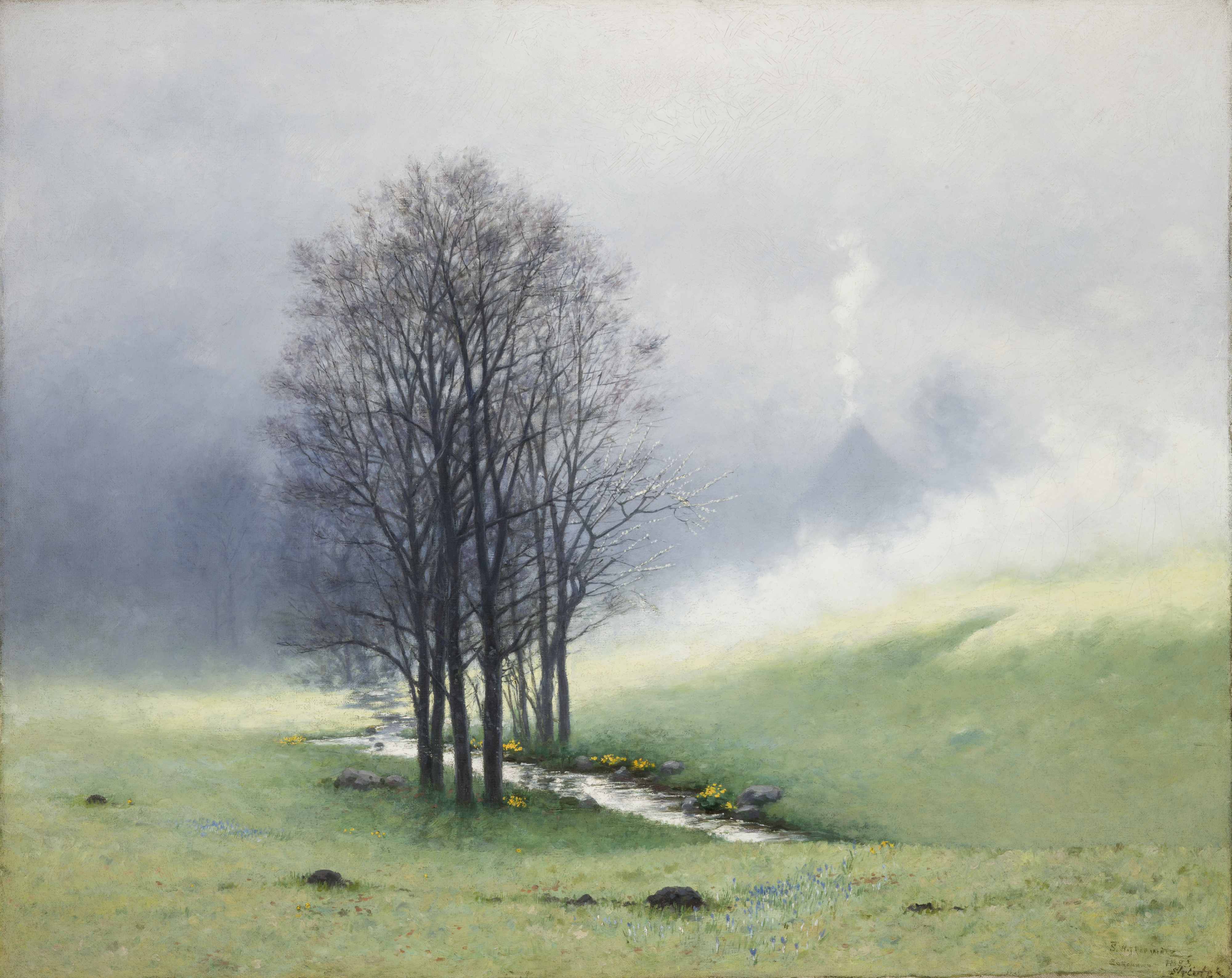 Mgła wiosenna, Witkiewicz, Stanisław (1851-1915)